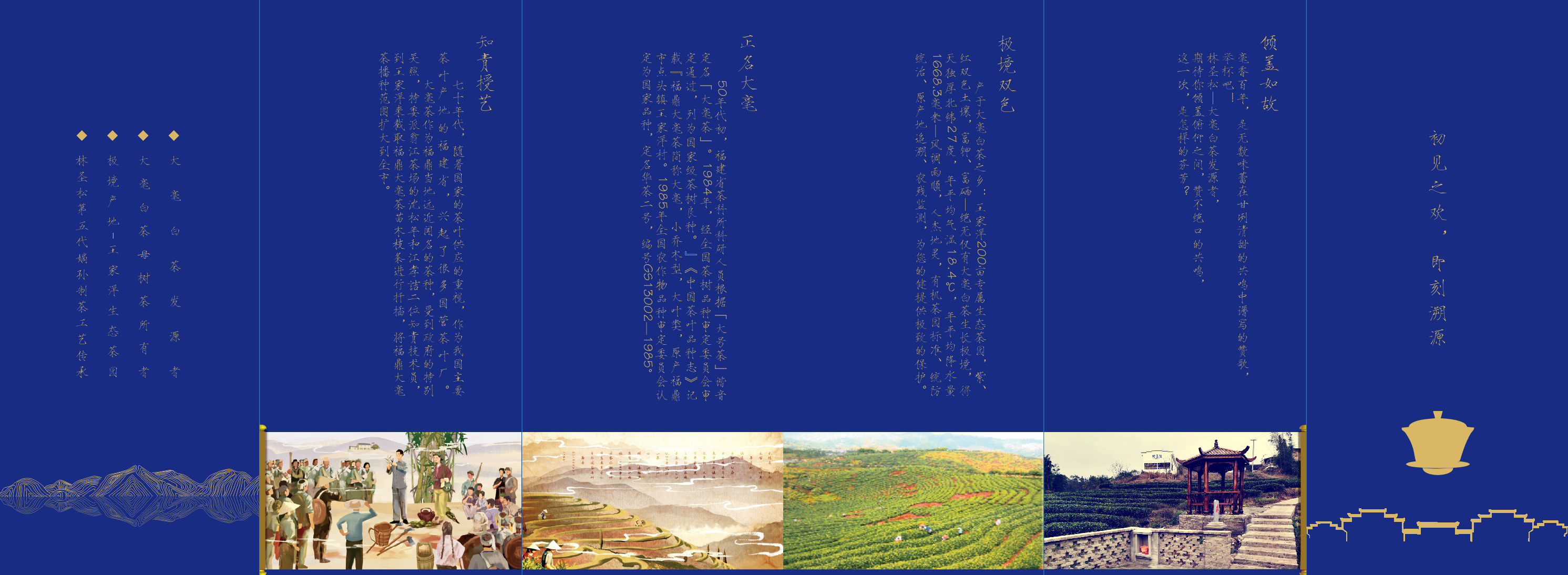 王家洋品牌故事封面