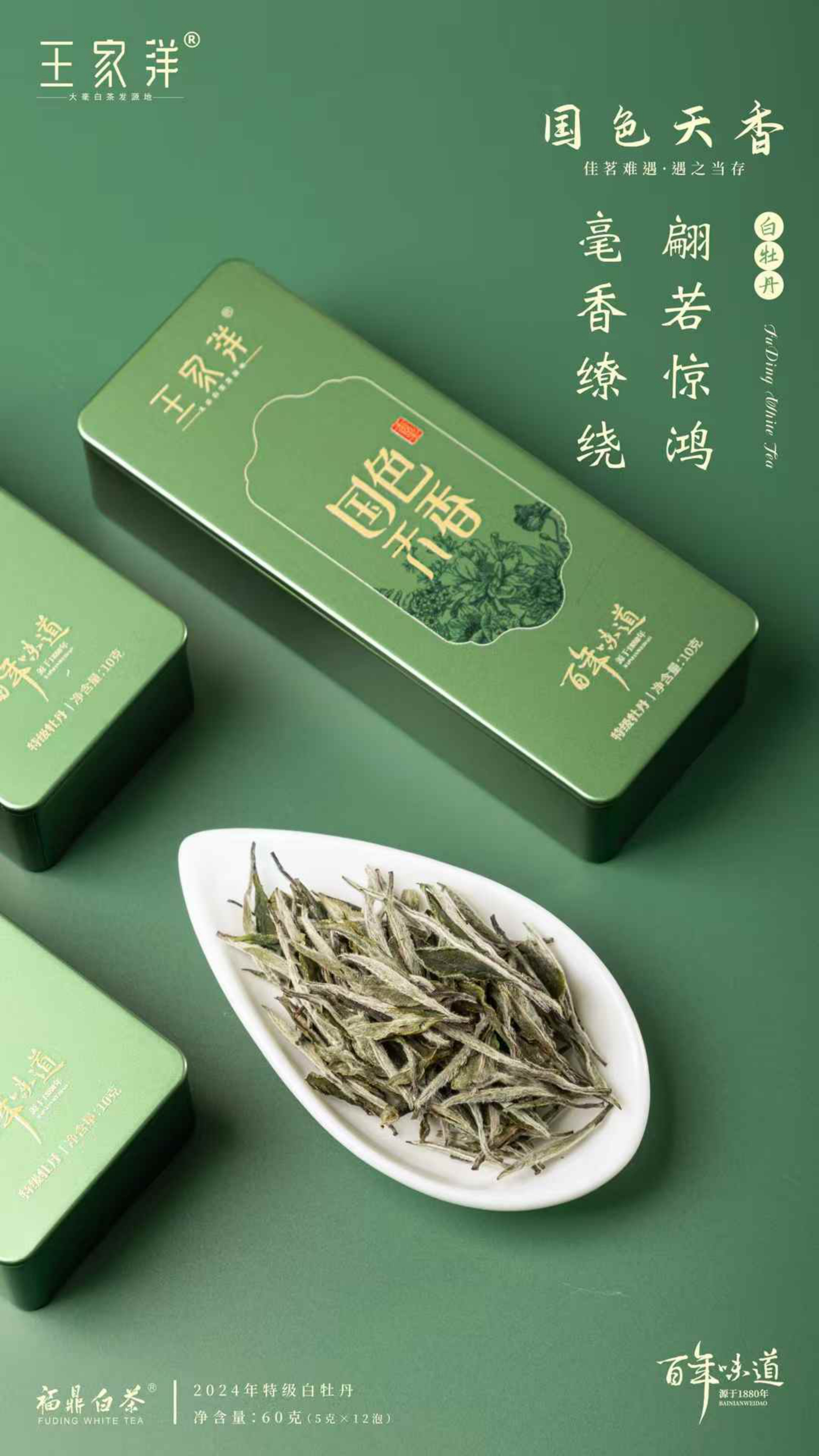 商务礼赠白茶