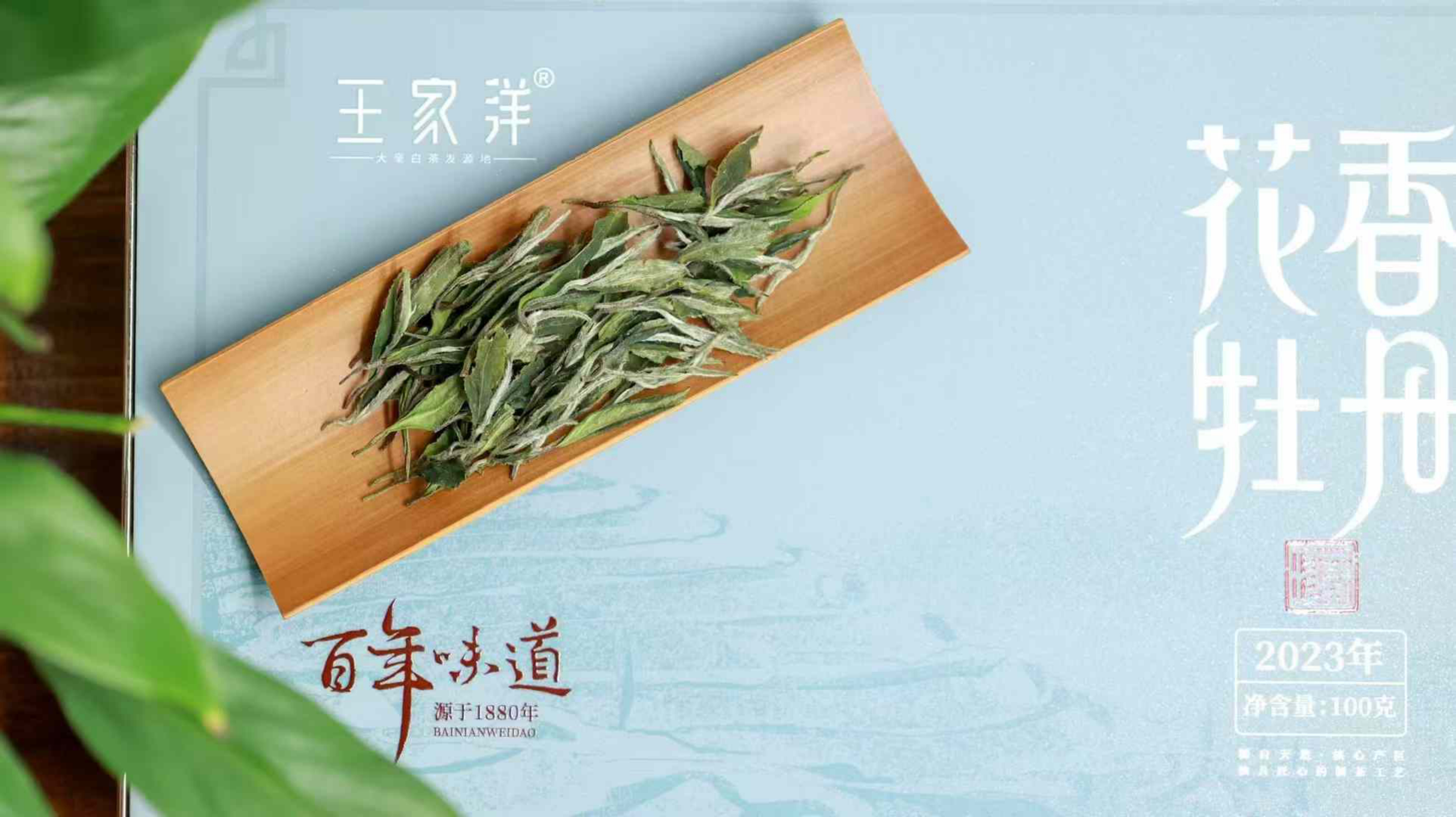 花香牡丹白茶