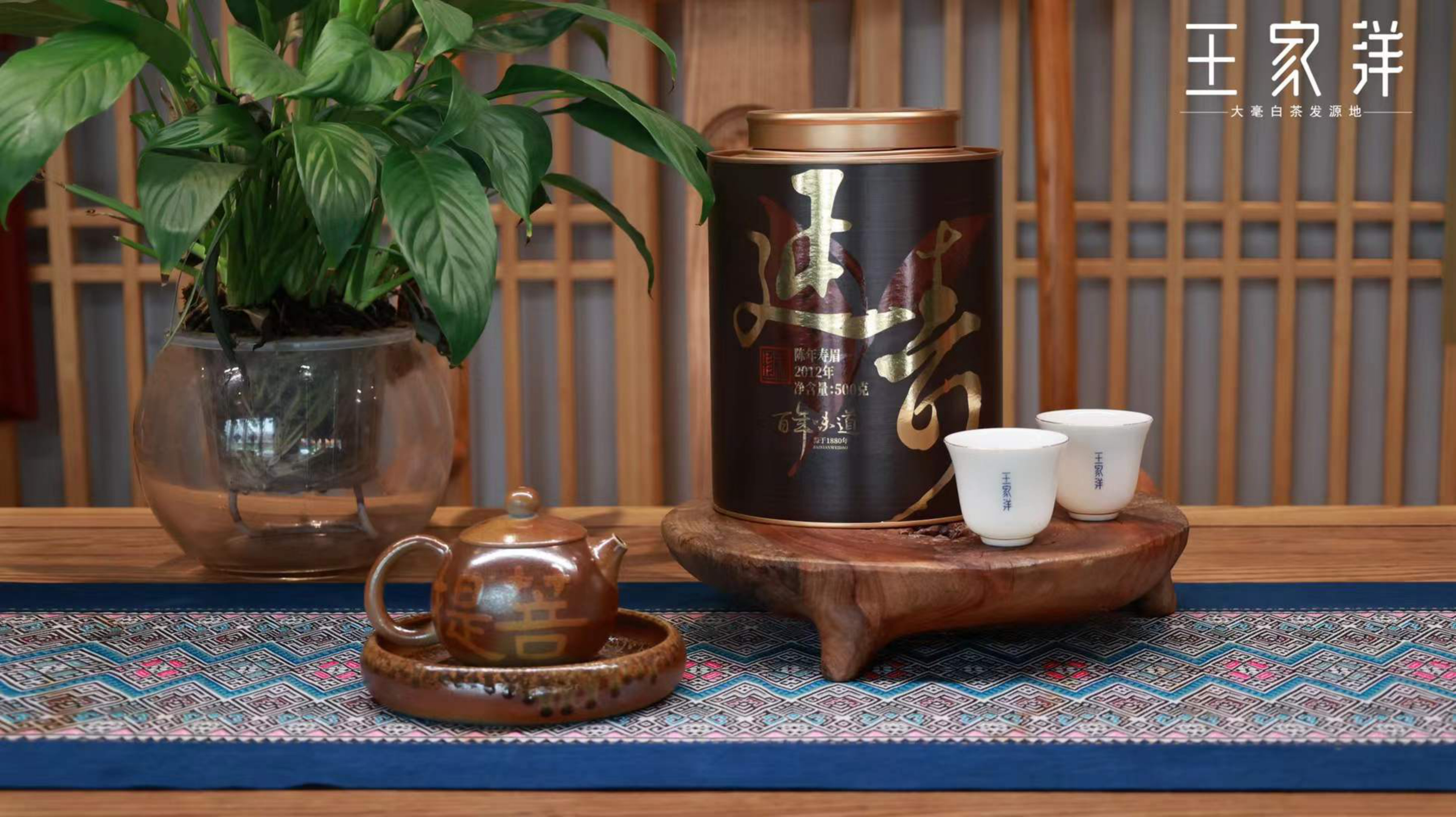 寿眉白茶